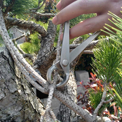 Bonsai Concave Branch Cutter, 7in Stainless Steel Bonsai Pruning Shears Tree Pruning Tools Tree Branch Cutter for Enthusiasts and Beginners