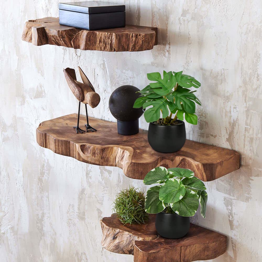 3 Pack Fake Plants Potted Artificial Plants Mini Faux Plants in Black Ceramic Pots Greenery Décor for Home Office Table Room Farmhouse Indoor Decoration