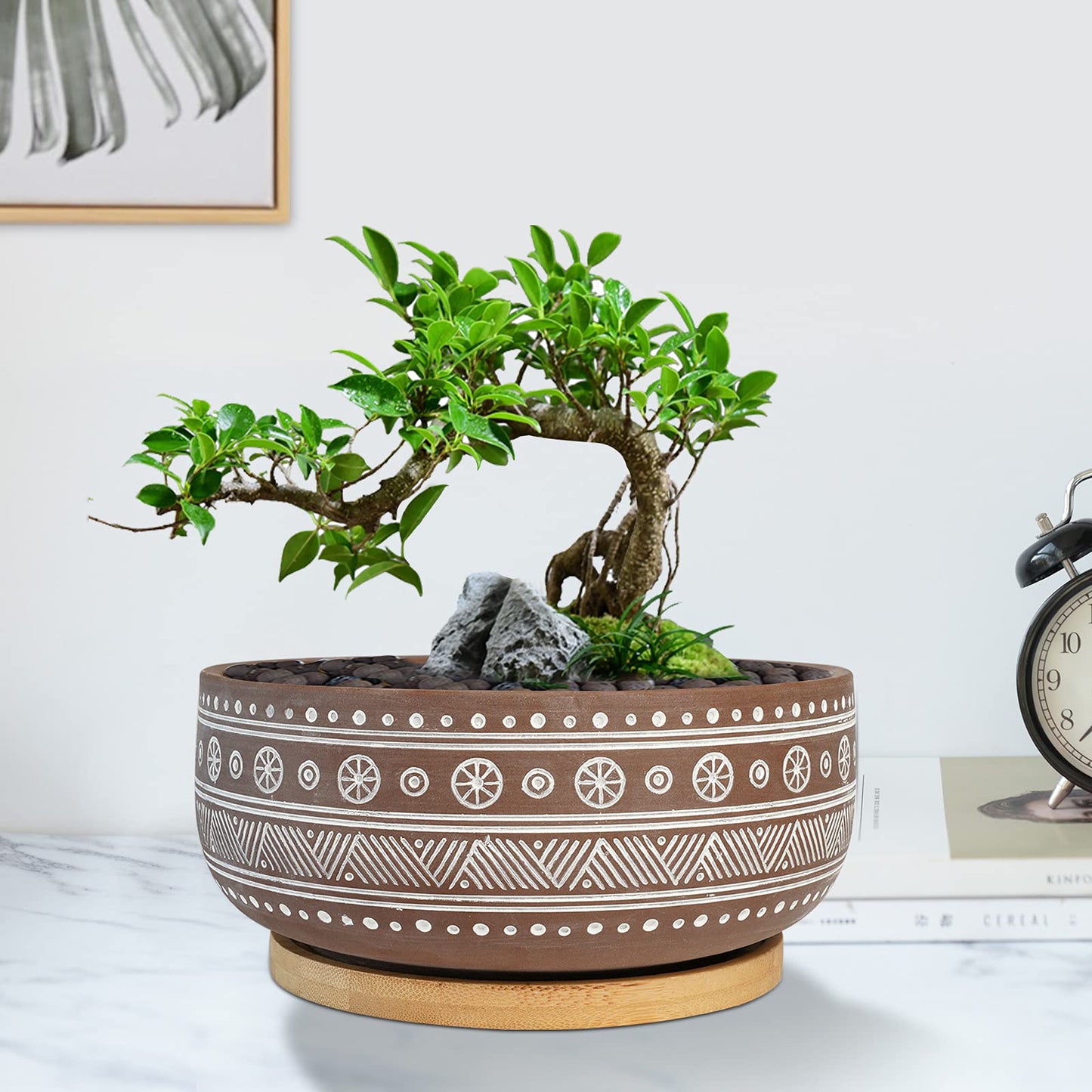 Thirtypot 8 Inch Terracotta Succulent Planter Pot with Drainage Hole and Bamboo Tray, Brown Round Shallow Bonsai Pot for Indoor Plants