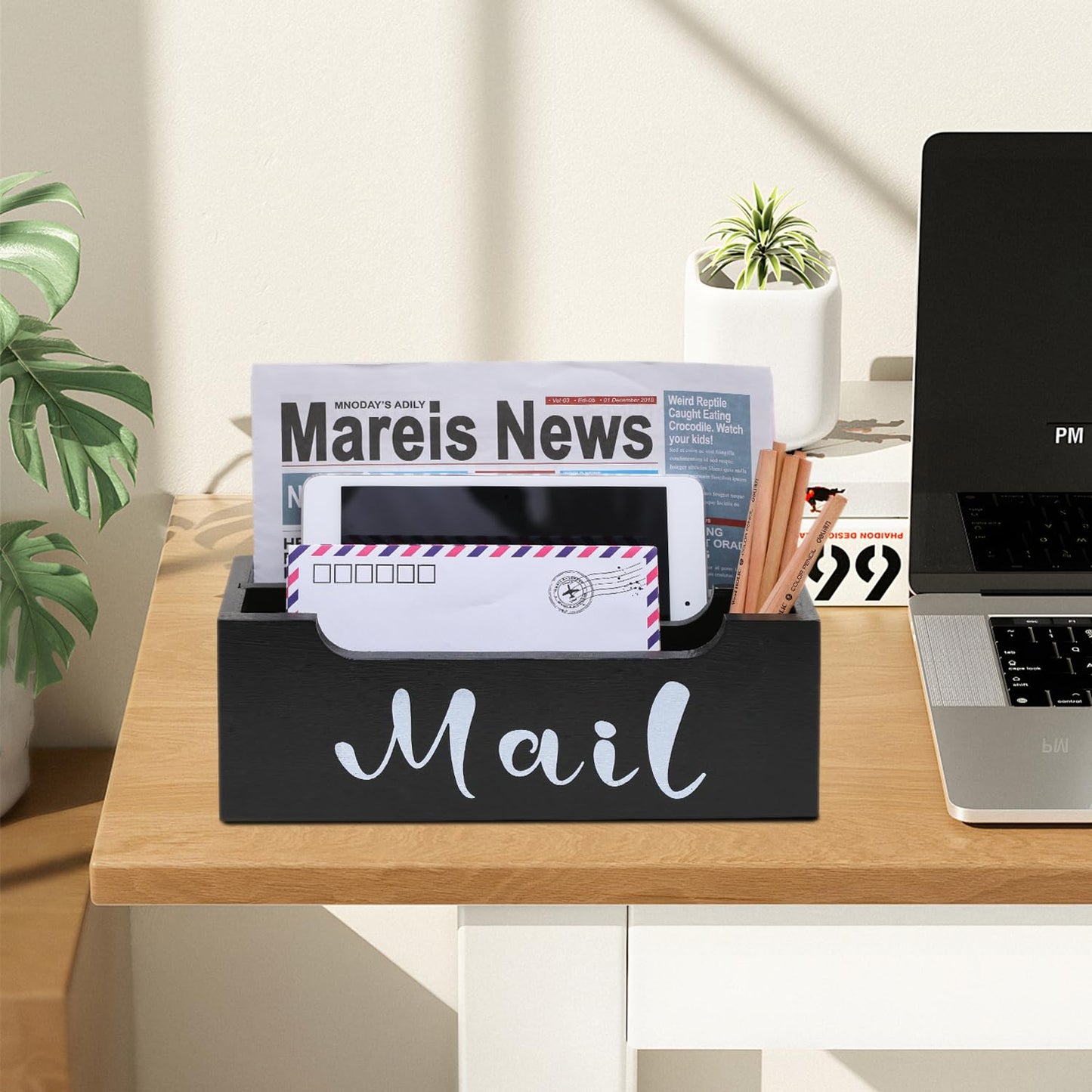 ZBBCTUS Mail Organizer Wall Mounted with 2 Slots & Removable Grids, Black Mail Sorter Basket, Wood Desk Mail Holder Countertop Hanging for Home Office Decor