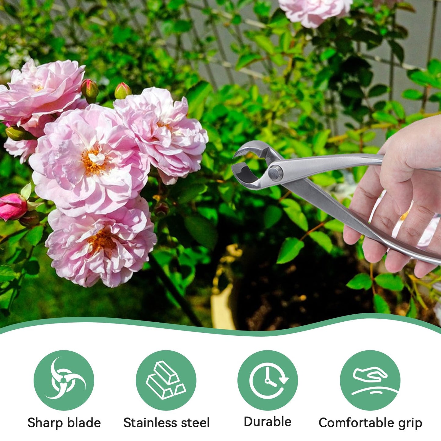 Bonsai Concave Branch Cutter, 7in Stainless Steel Bonsai Pruning Shears Tree Pruning Tools Tree Branch Cutter for Enthusiasts and Beginners