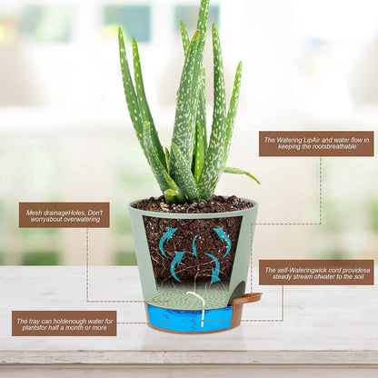 6 Pack Plant Pots 8/7/6.5/6/5.5/5 Inch, Self Watering Plant Pots with Removable High Drainage Deep Reservoir, Plastic Pots for Plants Indoor, Snake Plant, African Violet, Succulent