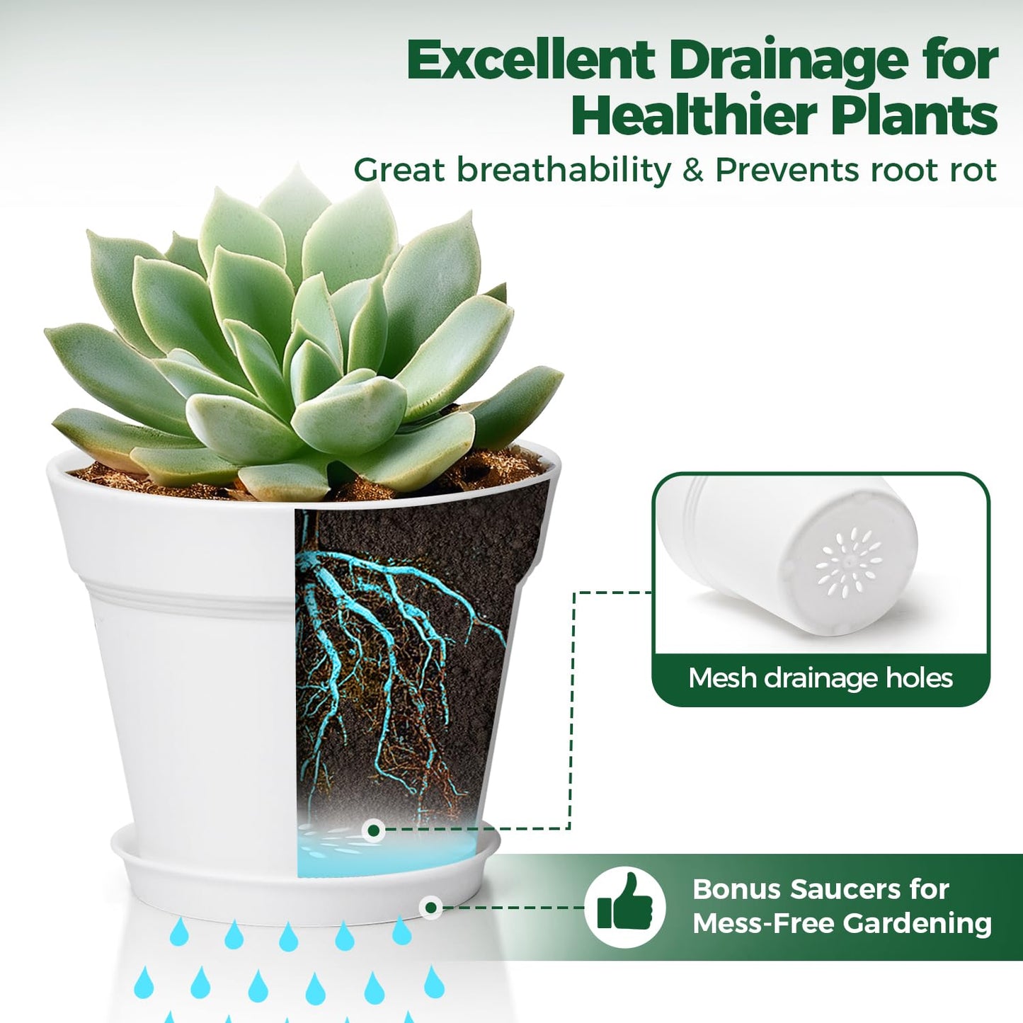 T4U 6.3 Inch Plant Pots 8 Pack, Planters with Drainage and Saucers for Gardening Enthusiasts, Indoor Outdoor Patio Decor for Snake Plants, Herbs, Aloe and Ivy(White)