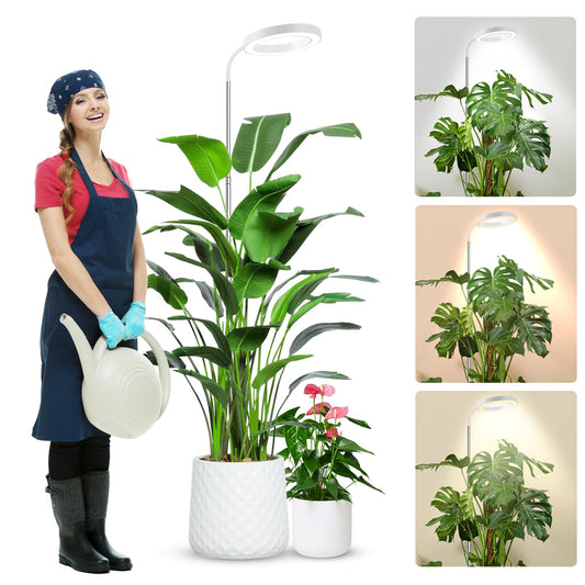 Wolezek Plant Light for Indoor Plants, 80 LEDs 6500K Full Spectrum Grow Light, 65in Large Grow Light, 3 Colors Grow Lamp with 360°Gooseneck, 6/12/16H Timer, 5 Brightness, Height Adjustable, White