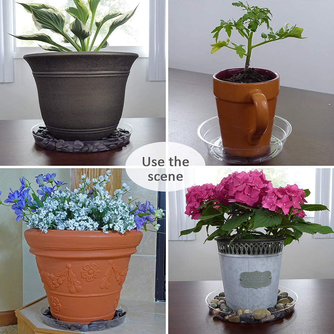 24Pack Clear Plastic Plant Saucers, Flower Pot Drip Trays, Plant Trays for Indoors, Outdoors - Collects Flower Pot Drainage and Excess Water - 6, 8, 10, 12 Inch
