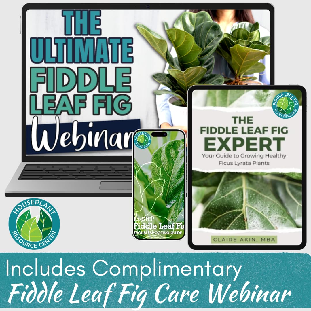 Fiddle Leaf Fig Rescue Drops by Fiddle Leaf Fig Plant Resource | 3-in-1 Liquid Fertilizer, Root Supplement & Immunity Booster (3.3 Fluid Ounces - 100ml)