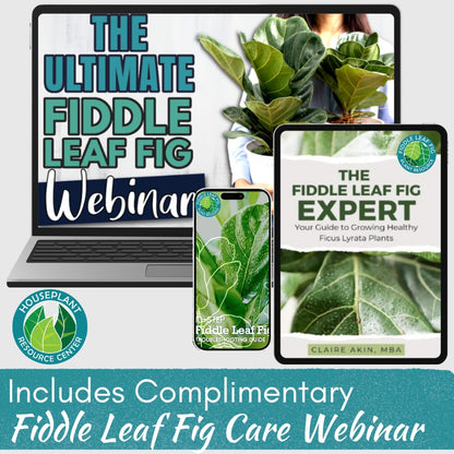 Fiddle Leaf Fig Rescue Drops by Fiddle Leaf Fig Plant Resource | 3-in-1 Liquid Fertilizer, Root Supplement & Immunity Booster (3.3 Fluid Ounces - 100ml)