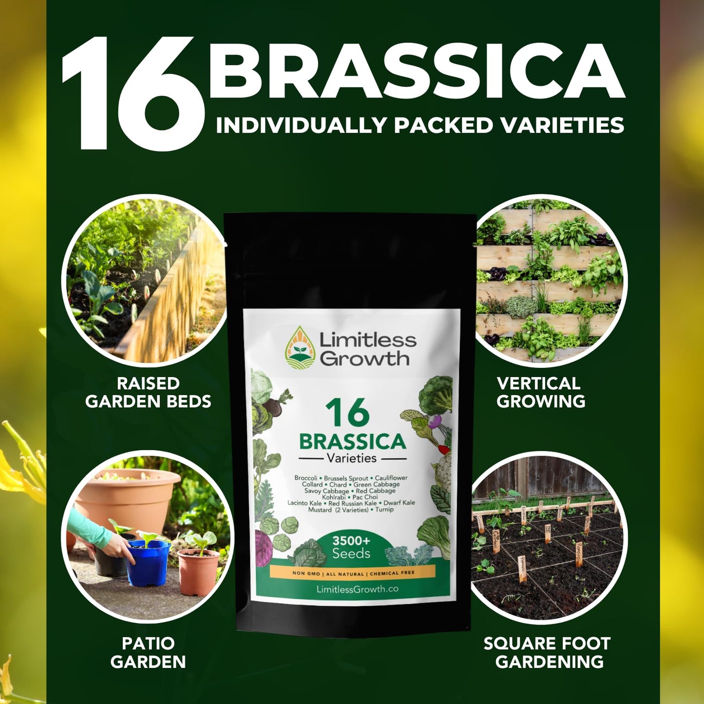 Brassica Varieties Seed Pack | 16 Varieties of Cool Weather Vegetable Seeds | Cabbage, Broccoli Seeds, & More, Easy to Grow for Canadian Gardens | Limitless Growth