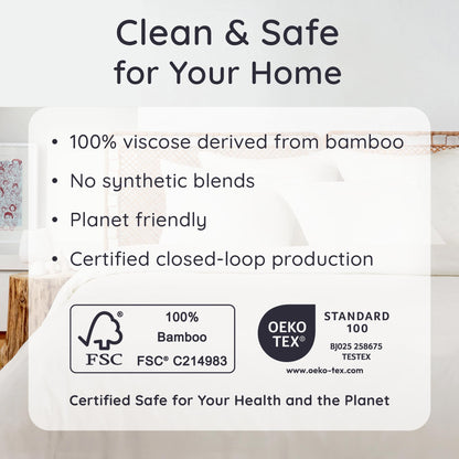Bambaw 100% Viscose Derived from Bamboo Pillowcase Queen Size – Set of 2 Queen Cooling Pillow Cases for Hot Sleepers with Envelope Closure, Breathable & Super Soft Pillow Cases (Ivory)