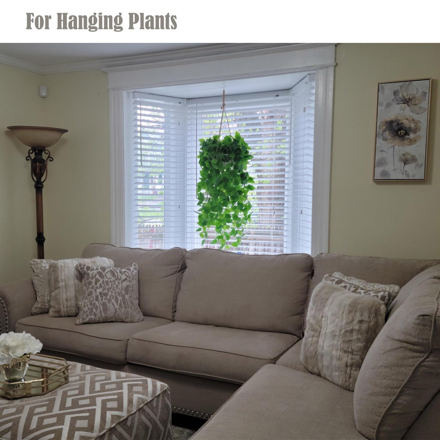 Solid Copper Brass S Hooks - 20 Pack, Pan Pot Holder Rack Hangers Round-End Gold S Shaped Hooks for Hanging Coffee Mugs Kitchenware Utensils Rail Jeans Pants Clothes Bags Plants