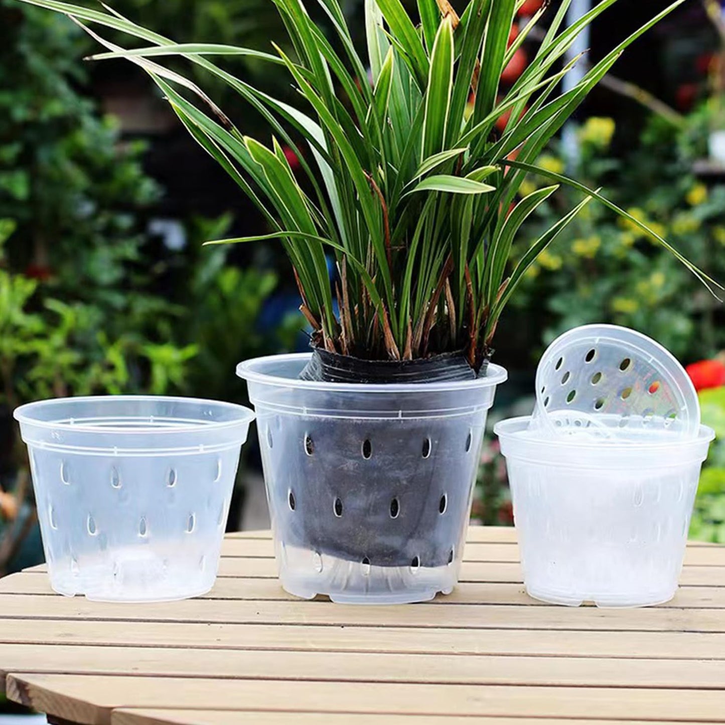 8pcs Orchid Pots with Saucers and Plant Stakes Set, 4" 5" 5.6" 6" Multi-Size, Clear Orchid Pot with Holes and Plant Support, Clear Plastic Breathable Orchid pots for Repotting