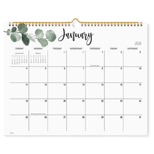 Cabbrix 2026 Year Monthly Wall Calendar, Runs from January 2026 to June 2027, Home Schooling Planner for Family and School, Wirebound, Large, 15 x 12 Inches