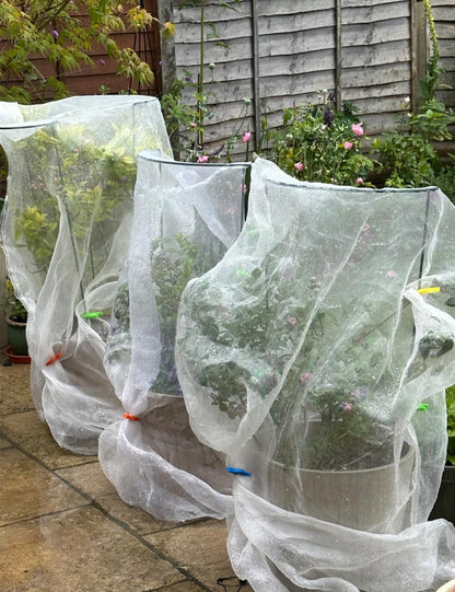 10Pack 40×25cm Plant Support Stakes With 50m Plant Ties, Metal Garden Plant Stakes Half Round Indoor Outdoor Support Ring Cage for Peonies Monstera Hydrangeas Roses Vegetables Tomatoes Tulips Lavender