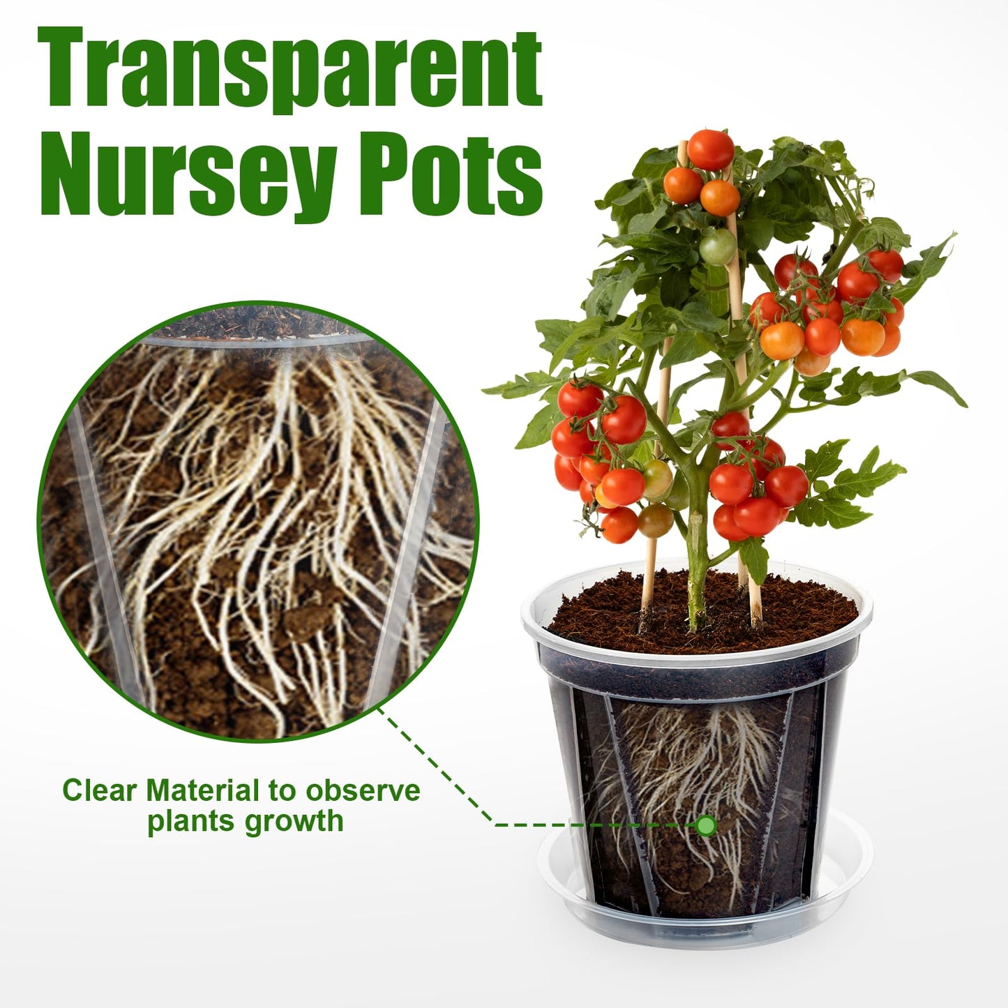 YALIOURS Clear Nursery Pots,10 Pack 6 Inch Clear Plant Pots with Saucer, Transparent Plastic Garden Pots with Drainage Hole for Outdoor Indoor Plants Flower, Succulent