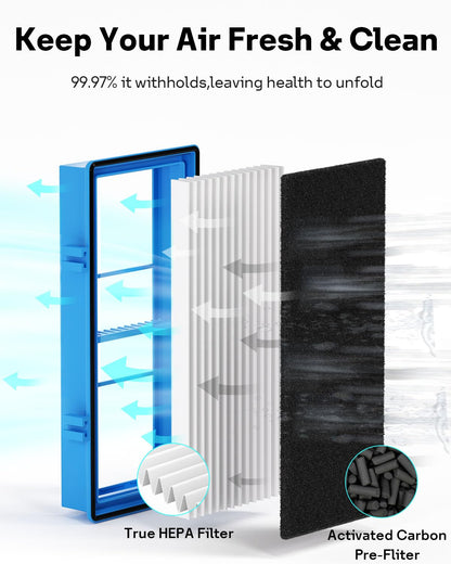 Aer1 Filter Replacement for Bionaire Holmes Air Purifiers, 2 True HEPA Filters + 4 Carbon Booster Filters, HAPF30AT