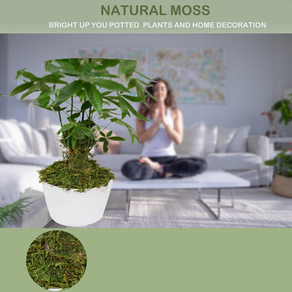 ZYAPA 10OZ Fake Moss Artificial Moss for Potted Plants Greenery MossHome Decor Fairy Garden Crafts Wedding Decoration (Fresh Green)