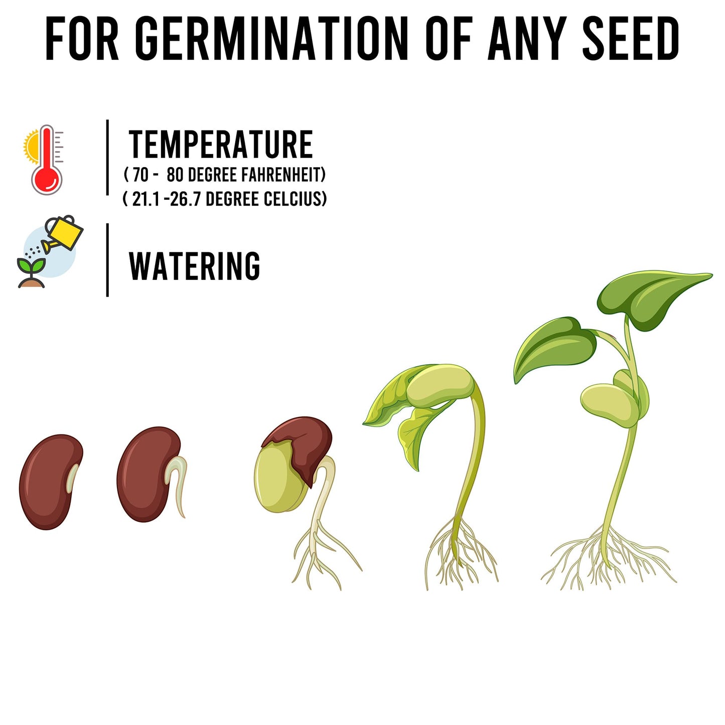 THUNDERBAY-GBSE Vegetable & Herb Seed Variety Pack of 37 Heirloom Sachets Approx. 5200 Seeds(100% Non GMO,37 Individually Packed Sachets, 37 Planting Tags) 37 sachets d'herbes et de légumes