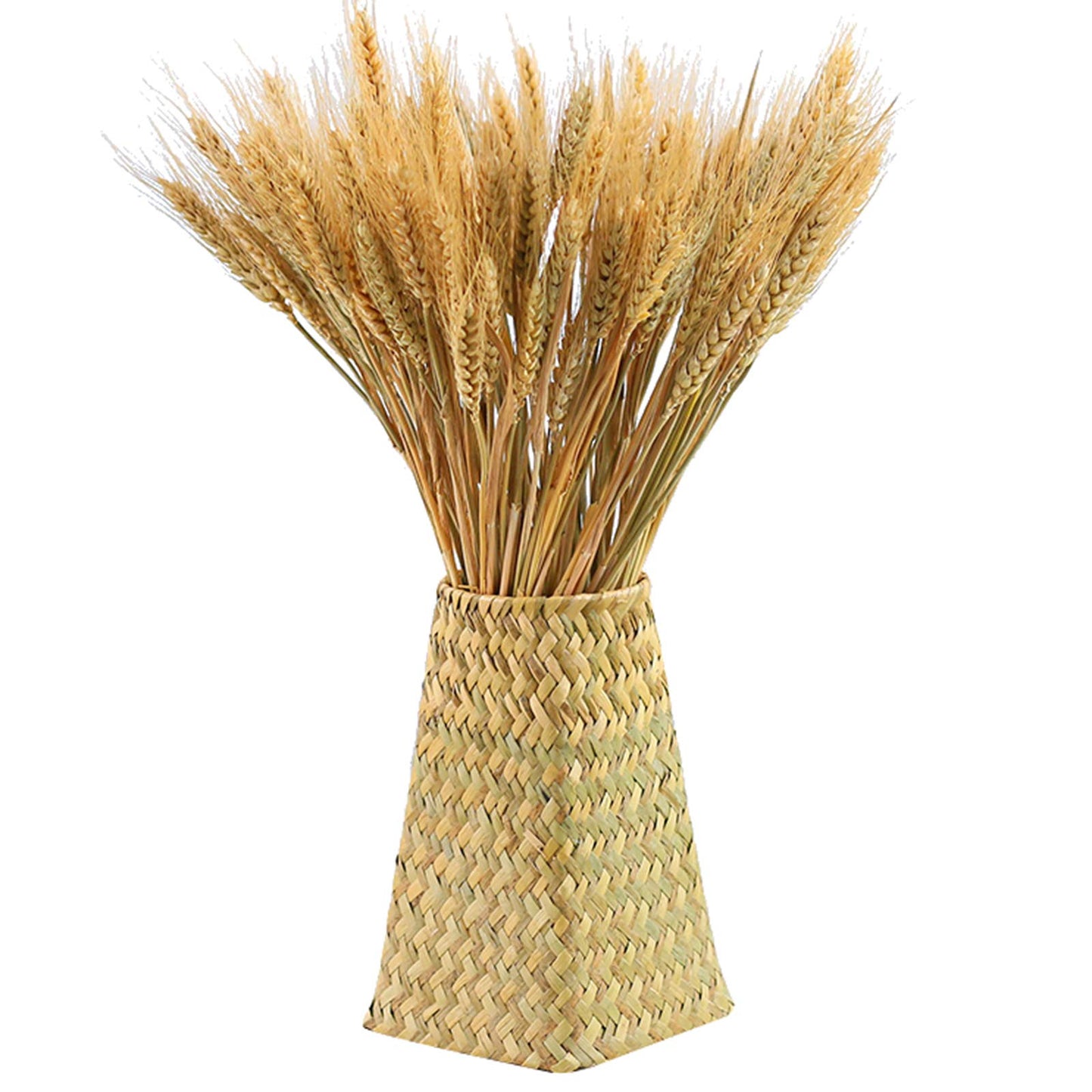 yarlung 300 Stems 16 Inch Dried Wheat Sheaves, Natural Wheat Stalks Bundle Fall Arrangement for DIY Craft, Home Table, Wedding