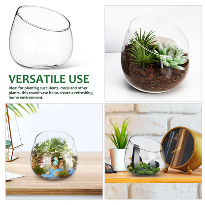Toddmomy Slanted Mouth Glass Vase Plant Terrarium 1.86 Inch Transparent Planter for Indoor Succulents Moss Small Decorative Bowl Vase for Home Office Garden