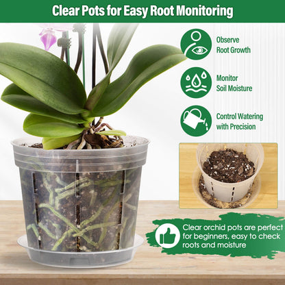 Tetutor 12 Pack Plastic Orchid Pots with Holes, 4, 5, 6 Inch Clear Orchid Pots for Repotting with Saucers Drainage and Plant Stakes, Large Small Breathable Orchids Planter Plant Pot