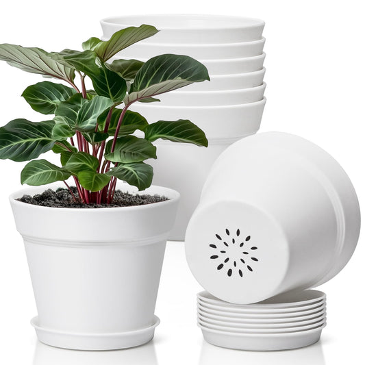 T4U 6.3 Inch Plant Pots 8 Pack, Planters with Drainage and Saucers for Gardening Enthusiasts, Indoor Outdoor Patio Decor for Snake Plants, Herbs, Aloe and Ivy(White)