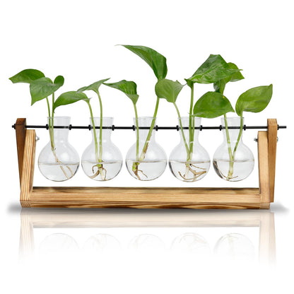 Propagation Station, Plant Propagation Station Decoration Maison Garden Decor, Indoor Home Office Desk Decor Plant Holder Flower Pot Gifts for Women Mom Best Friend Birthday Gifts - 5 Bulb Vase