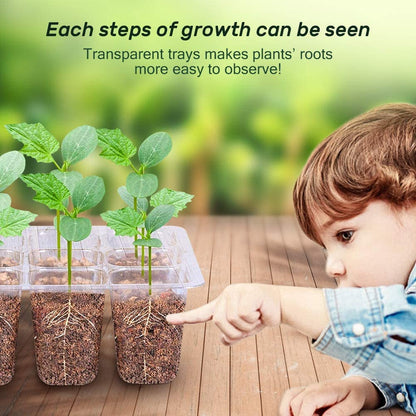 10 Packs Seed Starter Tray Seedling Tray (12 Cells Per Tray) Humidity Adjustable Plant Starter Kit with Dome and Base Greenhouse Grow Trays for Seeds Growing Starting