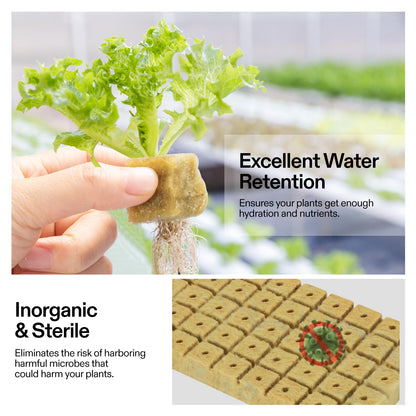VIVOSUN 1" Rockwool Cubes, 200 Plugs Stonewool Starter Grow Cubes for Cuttings, Cloning, Plant Propagation, Seed Starting, Hydroponic Grow Media for Vigorous Plant Growth