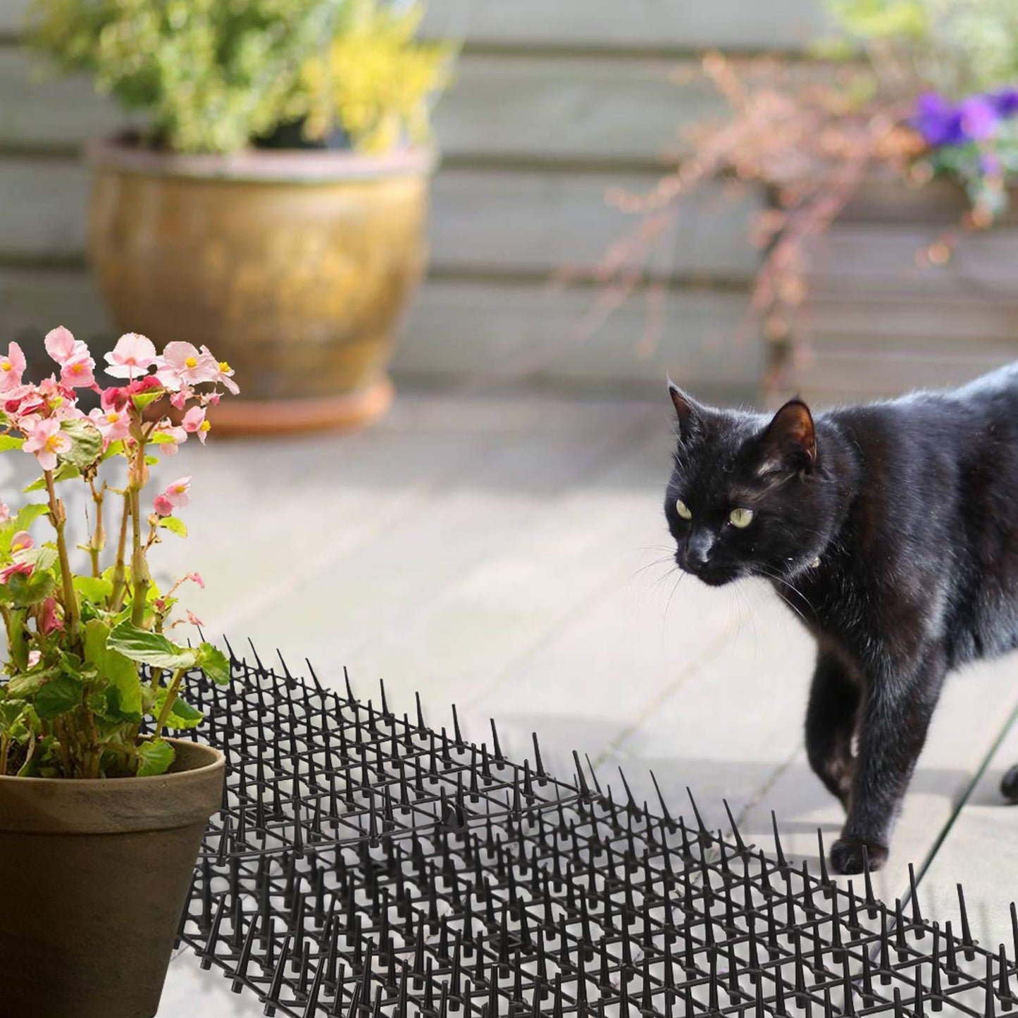 Cat Scat Mat, 78inch, Cat Deterrent Devices Spikes Mat Include 8 Garden Staples, for Garden, Fence, Anti-Cats Network, Bird, Squirrel, Raccoon Spikes