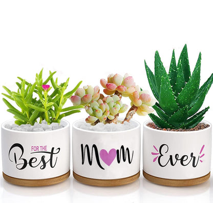 Best Mom Ever Gifts, Best Gifts for Mum from Daughter Son Kids Unique, Best Mom Ever Succulent Pots for Plants Indoor Ceramic Planter, Gift Boxed Birthday