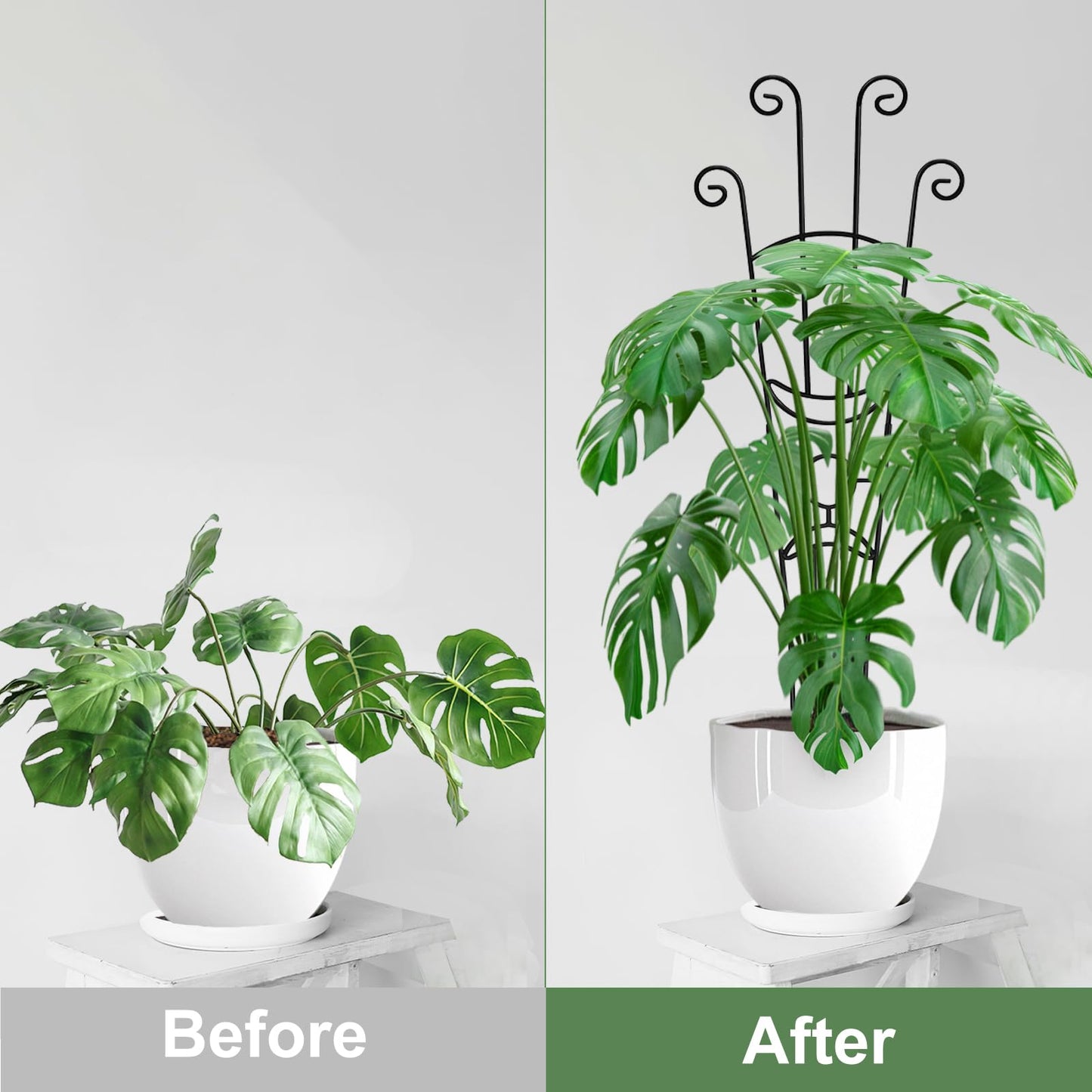 32.6in Monstera Plant Support Stakes for Indoor Plants, Metal Garden Plant Trellis for Climbing Plants, Pothos Vine Snake Climber Support，2P