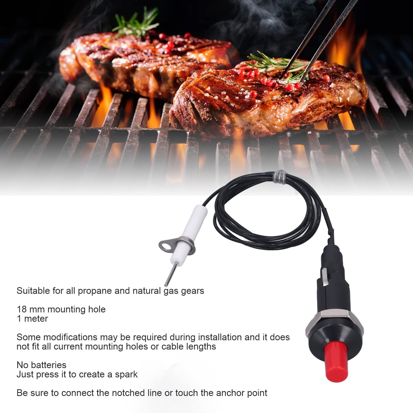 Push Button Piezo Igniter Piezo Spark Ignition 1 Out 2 Ignitor Electrode with 1 Meter Wire for Gas Stove Fireplace Oven Heater Barbecue Camping