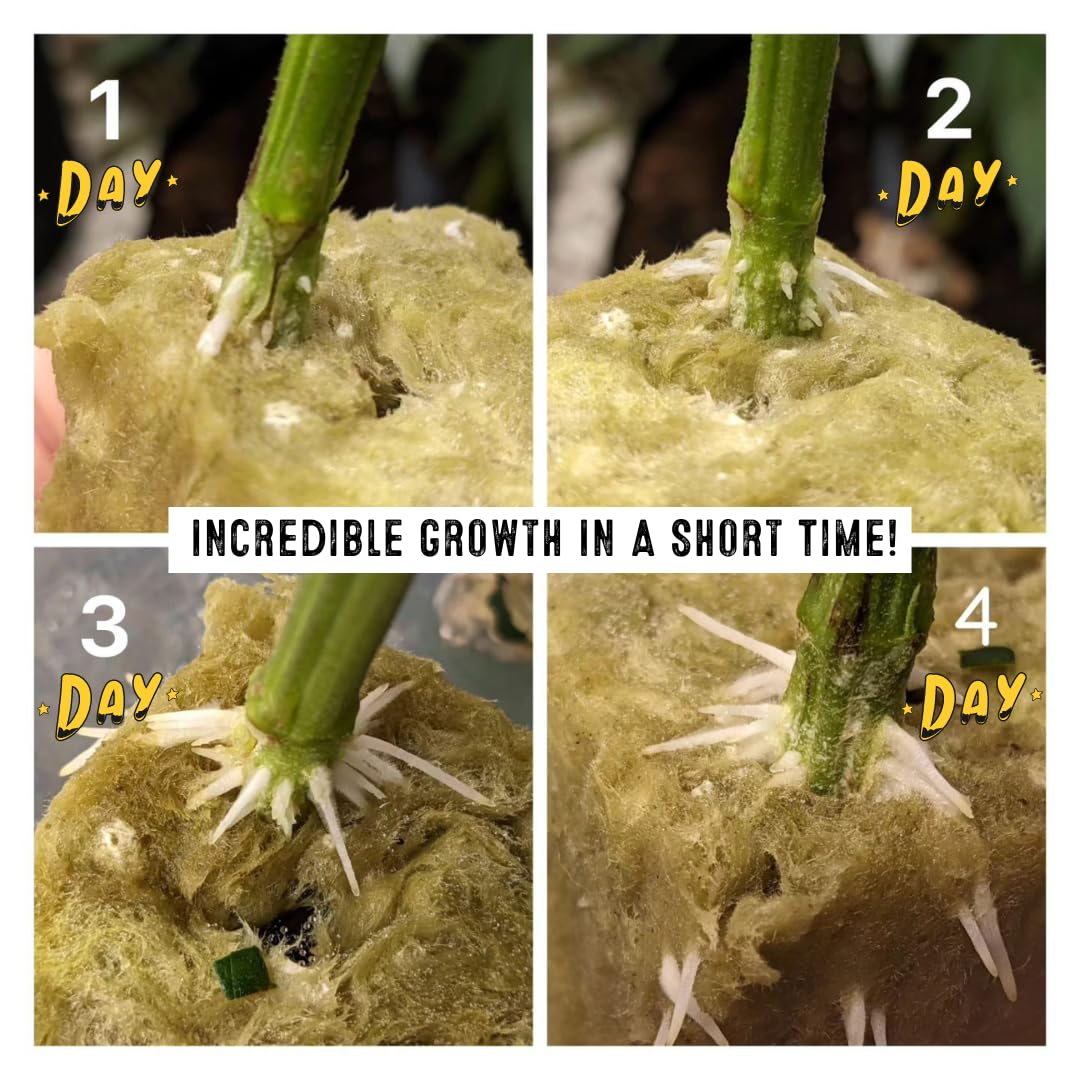 Green Rush Nutrients Root Rush Rooting Powder for Cuttings & Clones - Cloning and Rooting Hormone for All Plants