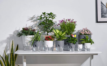 Self Watering Pots for Indoor Plants, ETGLCOZY 5 Pack 6/4.1/3.2 Inch Flower Pot Modern Decorative Plastic Planter with Extra Large Water Storage for All House Plants, Flowers, Herbs