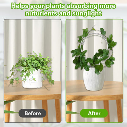 Tefola 8 Pack Clear Acrylic Plant Trellis Indoor, Lightweight Reusable Trellis for Climbing Plants for House Flower Hoya Pothos Vine Lvy, Indoor & Outdoor Use with Easy Setup