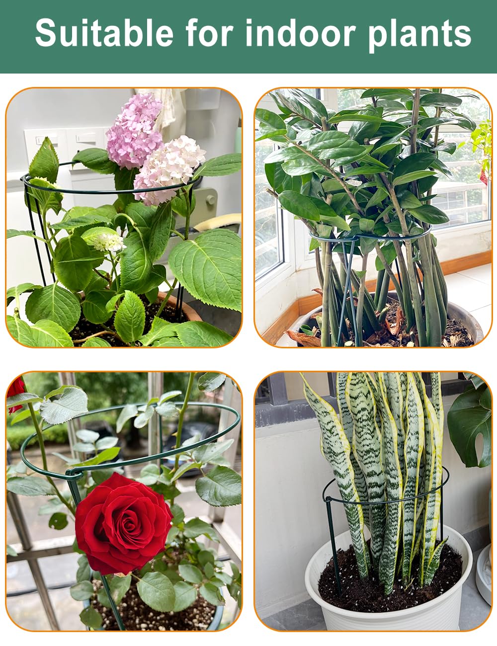 10Pack 40×25cm Plant Support Stakes With 50m Plant Ties, Metal Garden Plant Stakes Half Round Indoor Outdoor Support Ring Cage for Peonies Monstera Hydrangeas Roses Vegetables Tomatoes Tulips Lavender