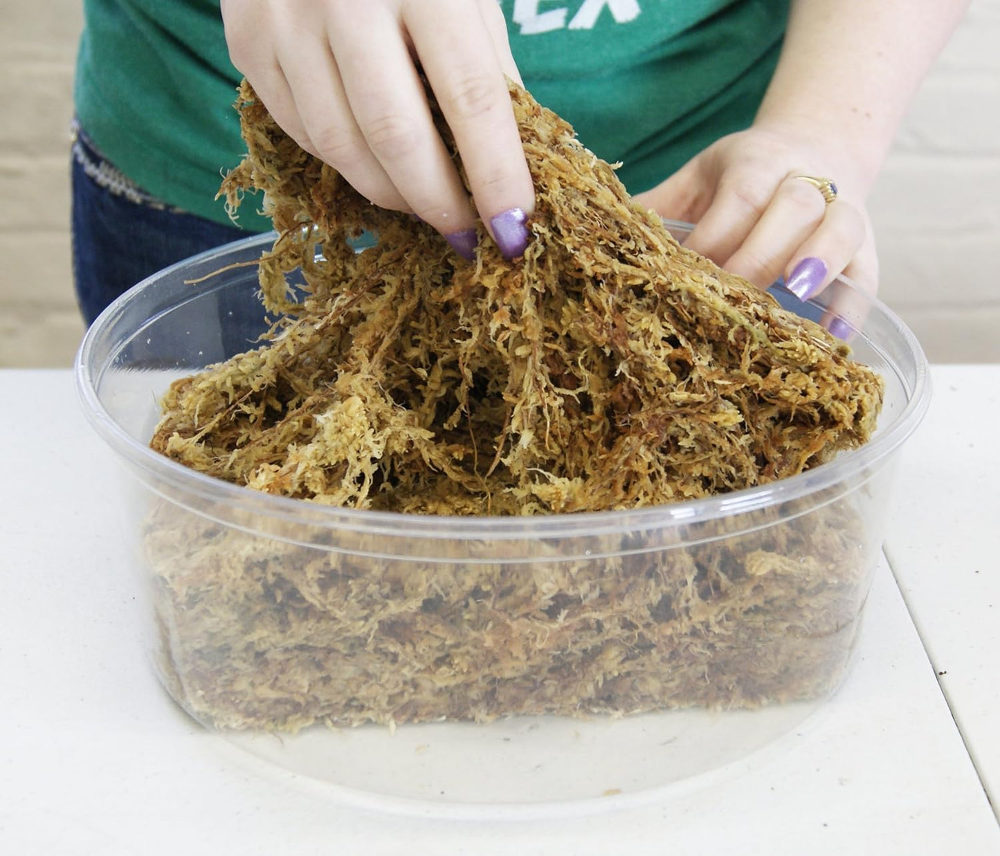 Spagmoss TM Premium New Zealand Sphagnum Moss 100 Grams Brick (8 Liters)