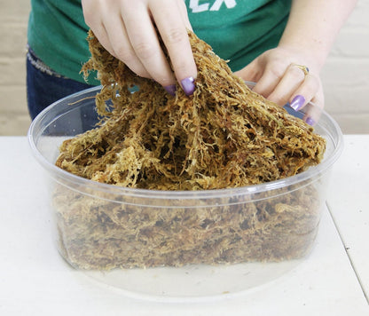 Spagmoss TM Premium New Zealand Sphagnum Moss 100 Grams Brick (8 Liters)