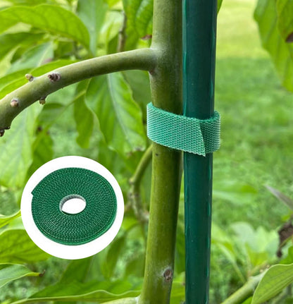 5 Pack Stackable Monstera Plant Support Stakes, 39.4 Inch Climbing Plants Support Structures with Twist Plant Ties, Plastic Plant Sticks for Monstera, Pothos, Philodendron, Green