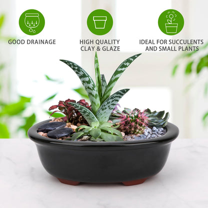 Set of 2 Zisha Ceramic Bonsai Pot, Glazed Shallow Succulent Planter Black