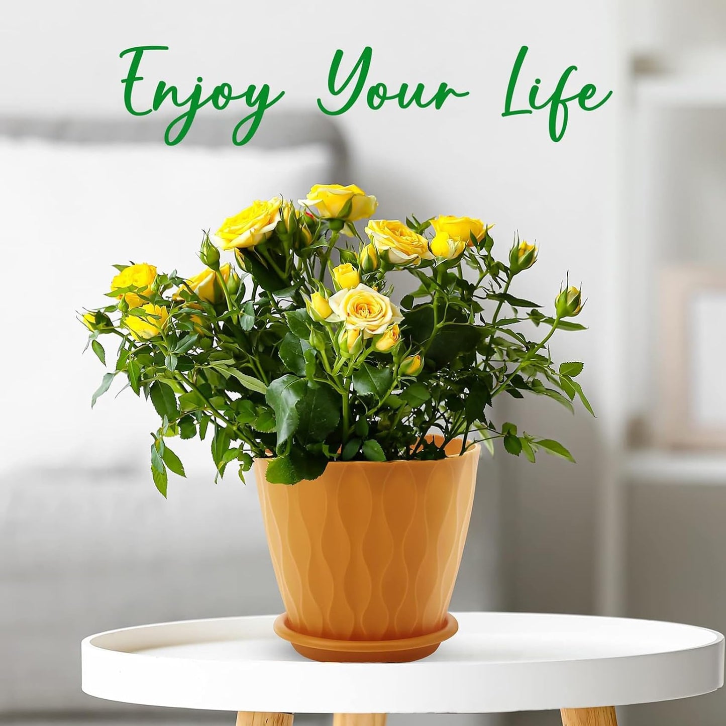 6 Inch Plant Pots with Drainage Holes and Saucers, Multicolor Flower Planters for Indoor Outdoor Use, 5 Pack