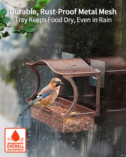 Window Bird Feeder, Desgully Durable Metal Window Bird Feeder, Window Bird Feeders with Strong Suction Cups, Super Adhesive Sheet×4，Large Outdoor Bird Feeder, Bird Watching Gift, Wild Bird Feeder