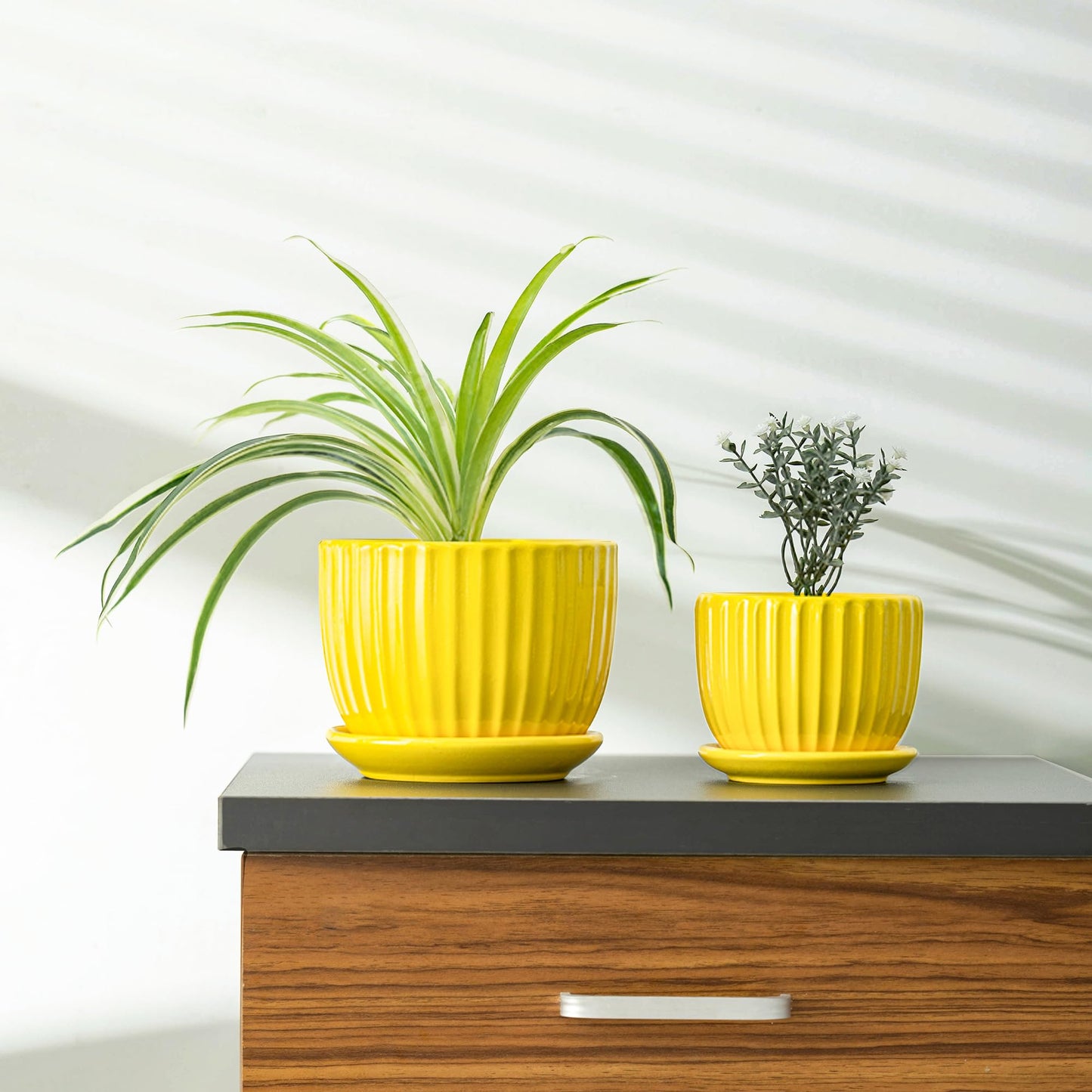 Ceramic Flower Pots Set of 3, 4+5+6 inch Plant Pots for Indoor Plants Ceramic Plant Pots with Tray,Medium Indoor Planters for Aloe Cactus Decorative Pots with Drainage Hole
