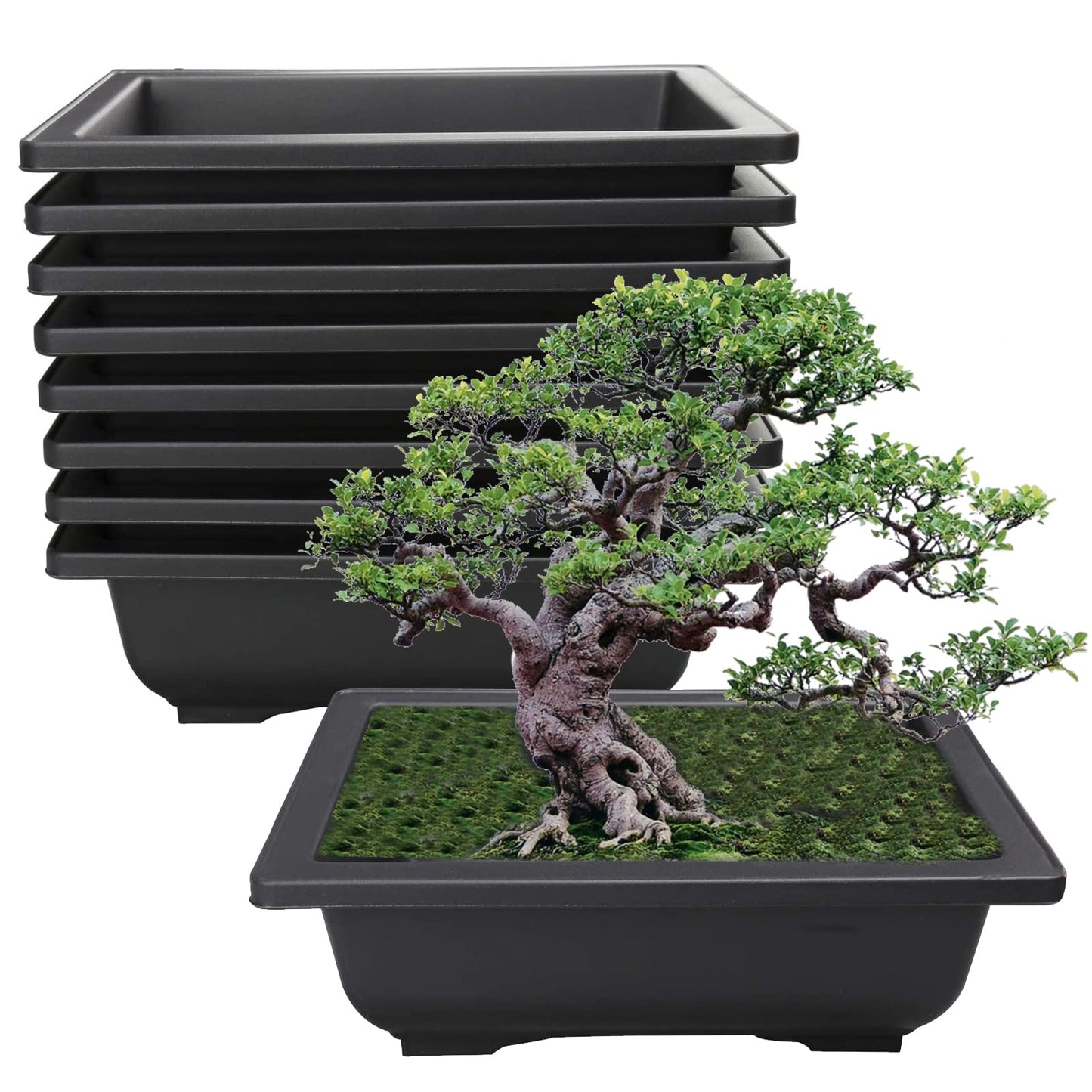 YaeTool 8Pcs 8.9" Large Plastic Bonsai Training Pots Flower Plant Retro Style Square Nursery Pots Retro Style