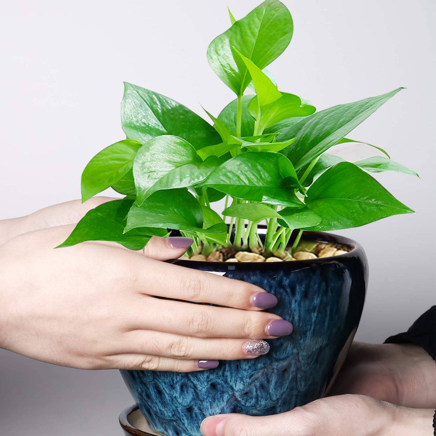 Ceramicfor Ceramic Modern Glaze Succulent Planter Pot with Drainage Hole and Saucer 6 Inch Round Flower Plant Pot for Indoor Outdoor Herb Snake Plants