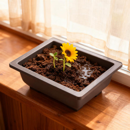 ZEONHEI 15 PCS 6.5 Inch Bonsai Training Pots, Rectangular Plastic Growing Pots with 15 PCS Trays, Flower Succulent Pots Container for Garden, Yard, Office, Balcony, Home Decoration ﻿