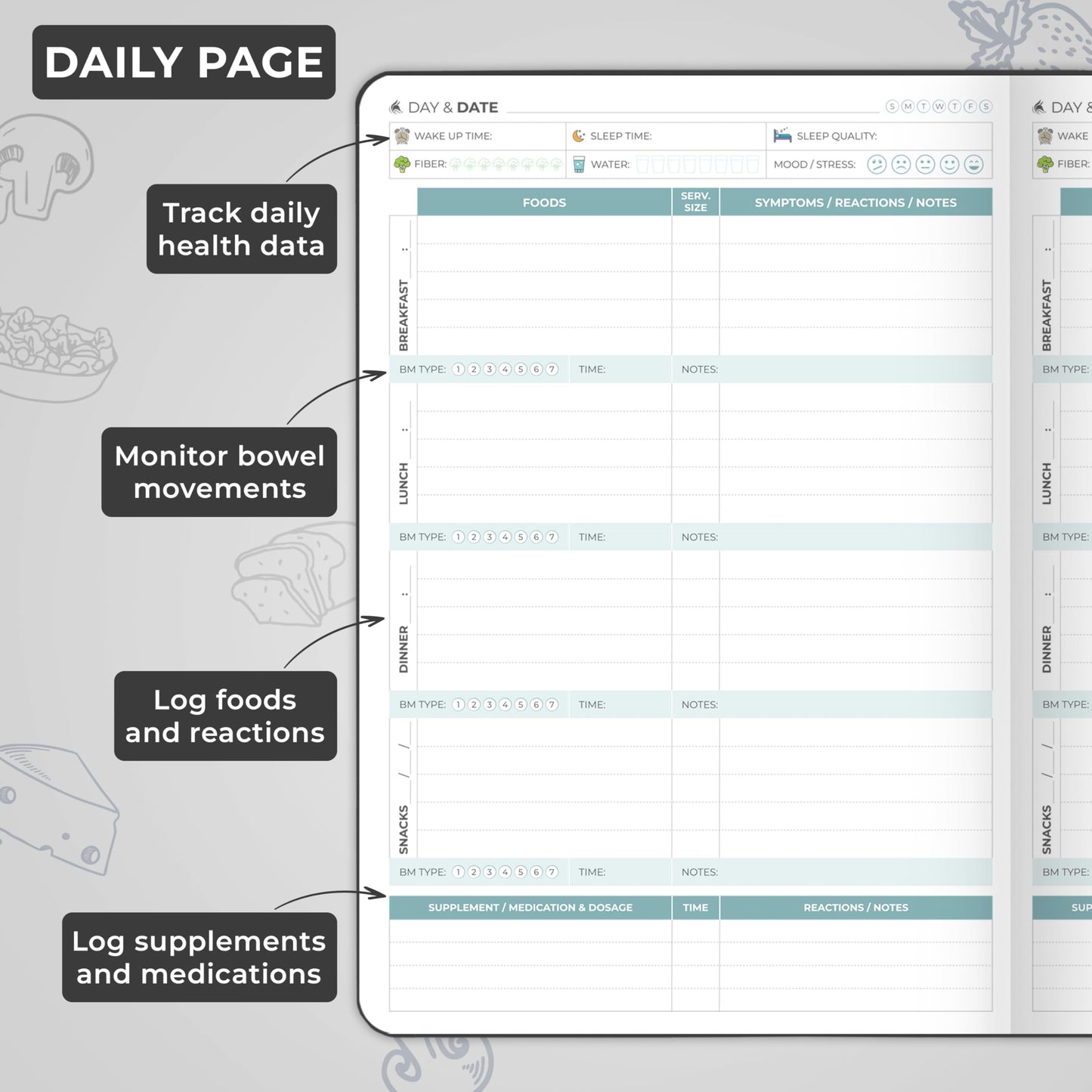 Clever Fox Food Sensitivity Journal – Daily Intolerance & Symptom Log for IBS, Diabetic, Low Fodmap, Elimination Diet – Health Tracker (Black)