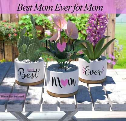 Best Mom Ever Gifts, Best Gifts for Mum from Daughter Son Kids Unique, Best Mom Ever Succulent Pots for Plants Indoor Ceramic Planter, Gift Boxed Birthday