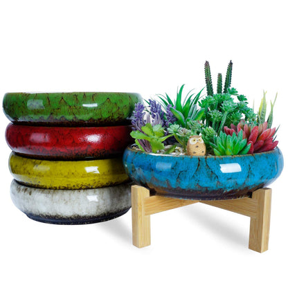Succulent Pot - 10 Inch Large Plant Pots with Drainage Shallow Bonsai Pot with Stand, Ceramic Flower Pot for Indoor Cactus Succulent Planter Bowl Decorative Garden Home Office