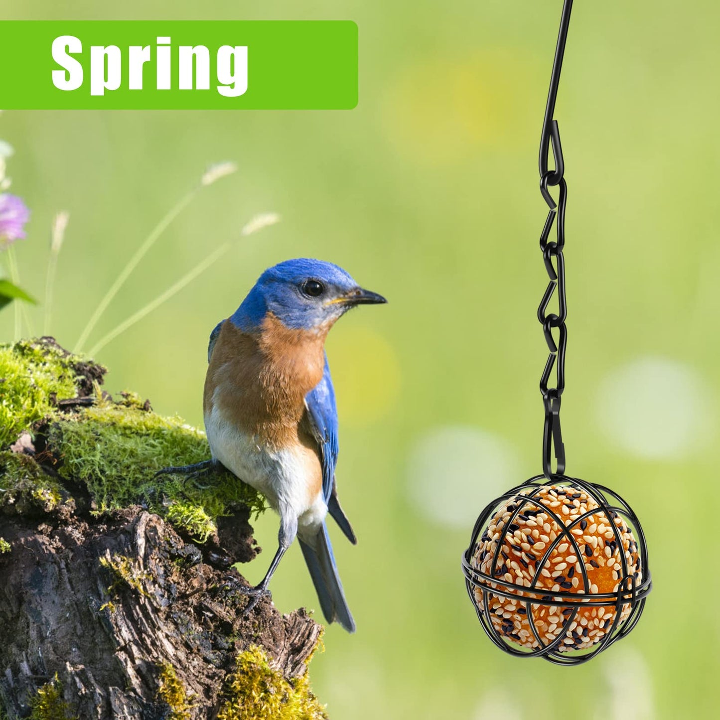 Abizarch 4 Pack Suet Ball Bird Feeder Set, Metal Bird Feeding Station Kit with Hanging Chain, Squirrel Proof Bird Feeders for Outside ，Hanging Hummingbird Feeders for Wild Birds Outdoor Garden